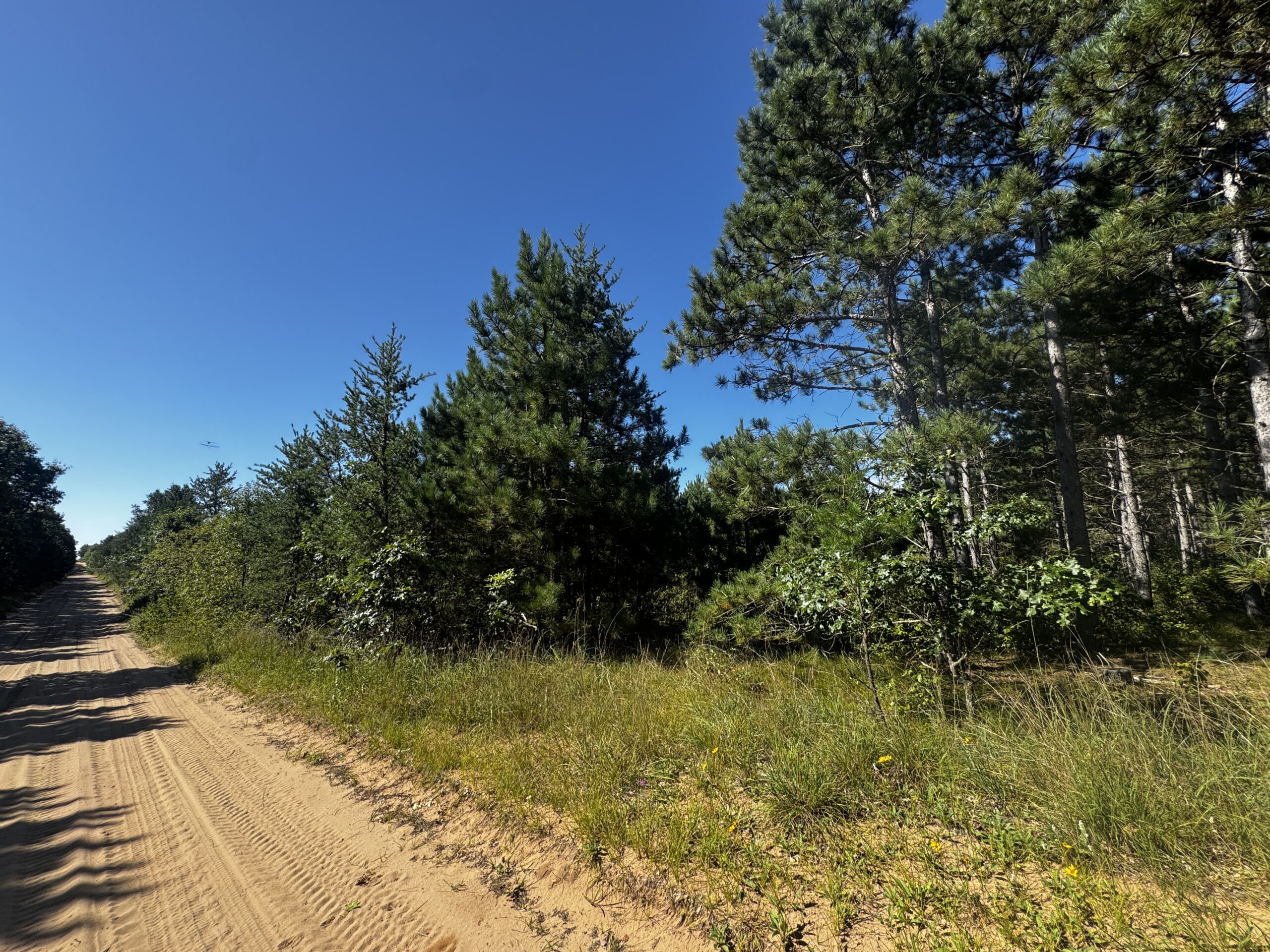 77-acre timber tract in the Town of Rome