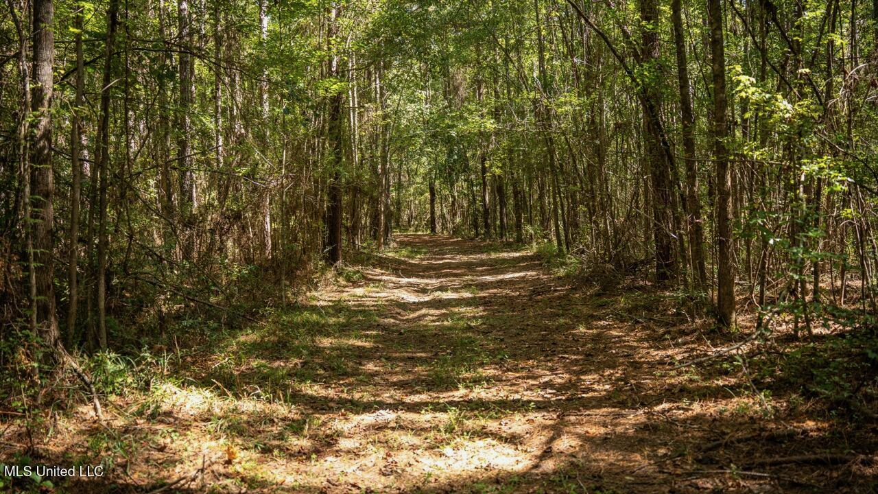 203 Acres in Smithdale MS – Turnkey Hunting Retreat