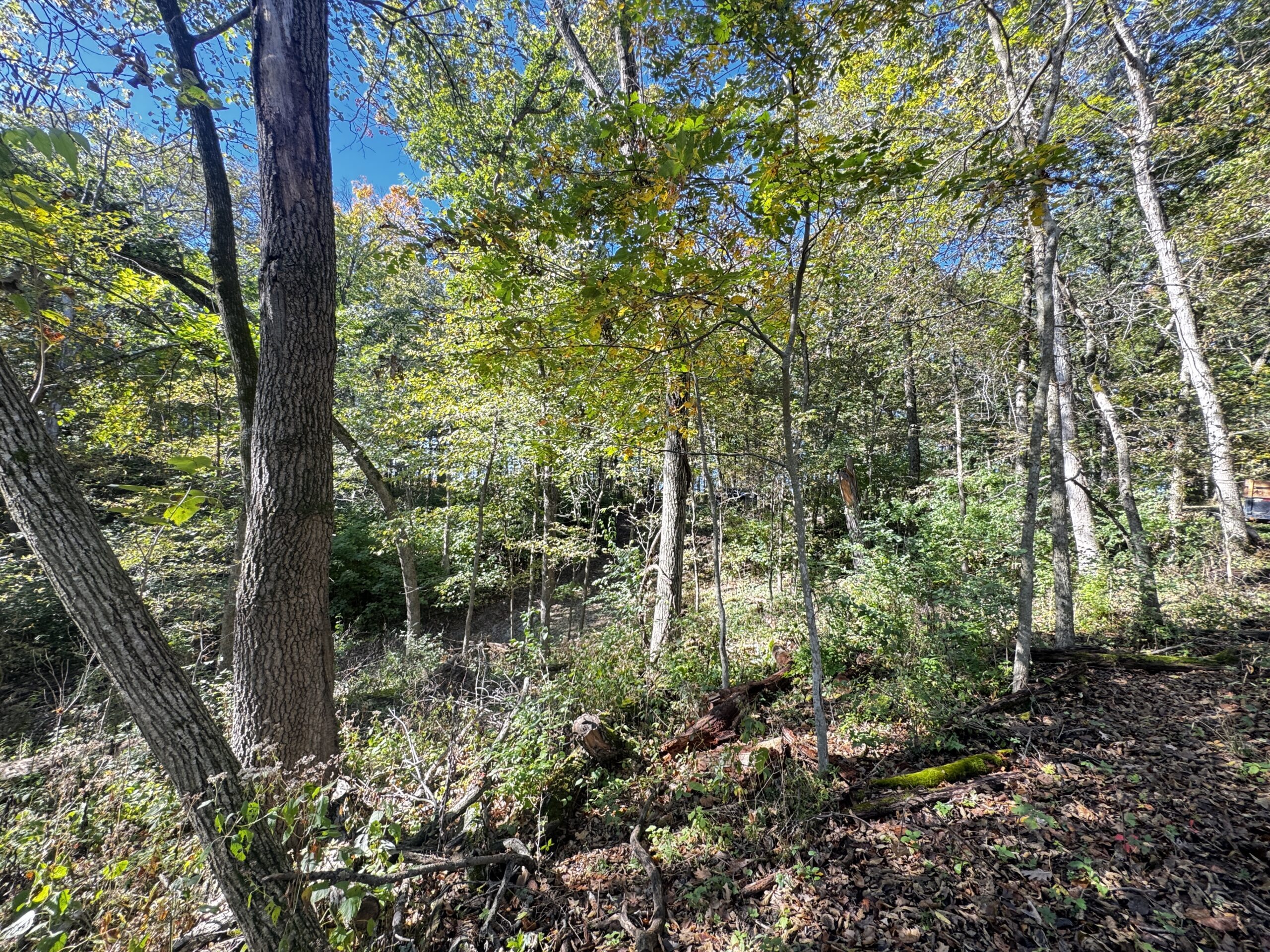 20± acre Sauk County Gem of a Property