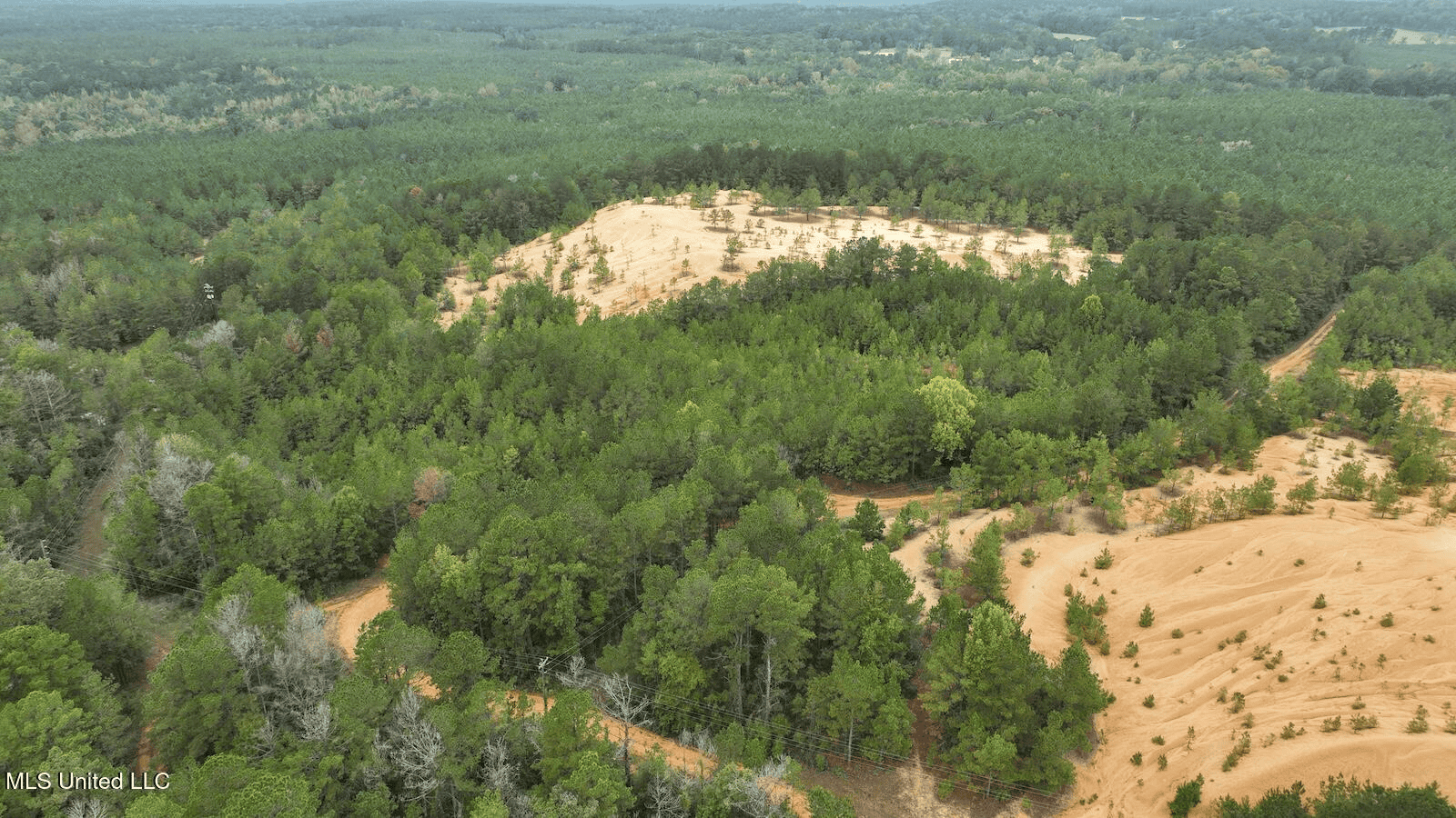 Prentiss MS Pasture Land for sale