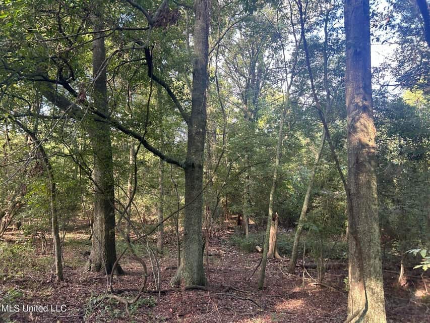 Yazoo River Hunting Tract 78.16 Acres