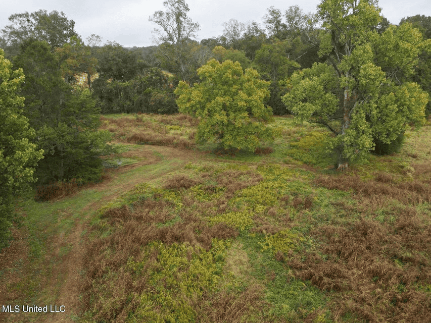 Remodeled Home on Acreage in Natchez, MIssissippi