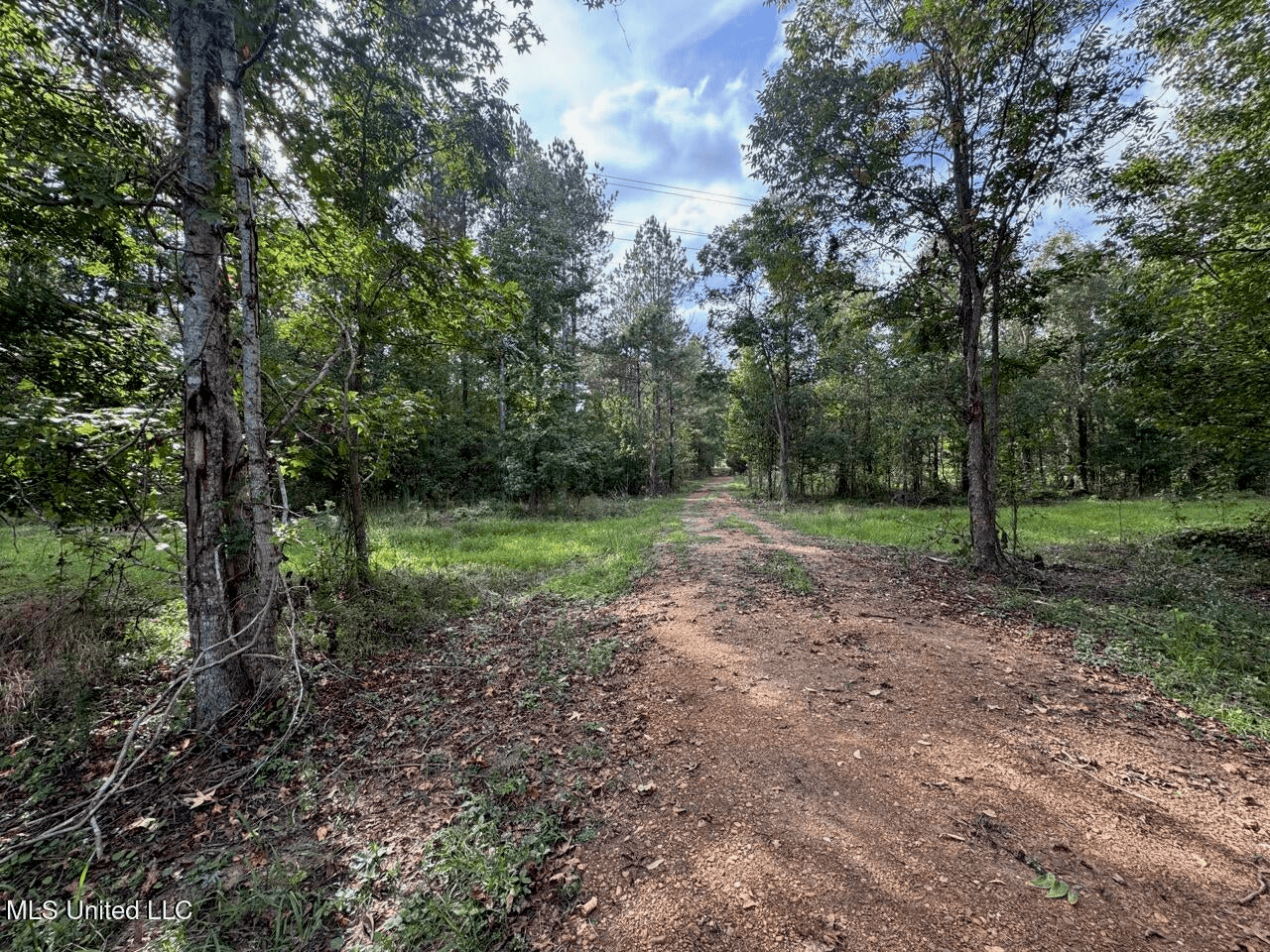 Hunting Land in Claiborne County, MS – The Sawmill 98