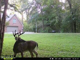 52 Ogden Road Home in Kingston Community of Natchez, MS