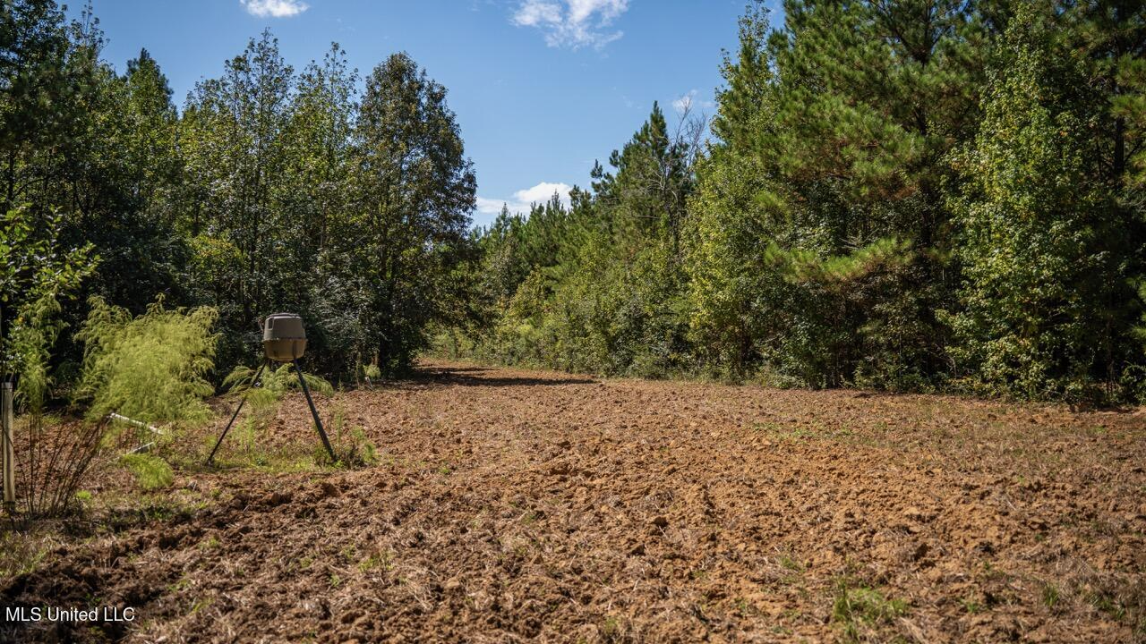 203 Acres in Smithdale MS – Turnkey Hunting Retreat