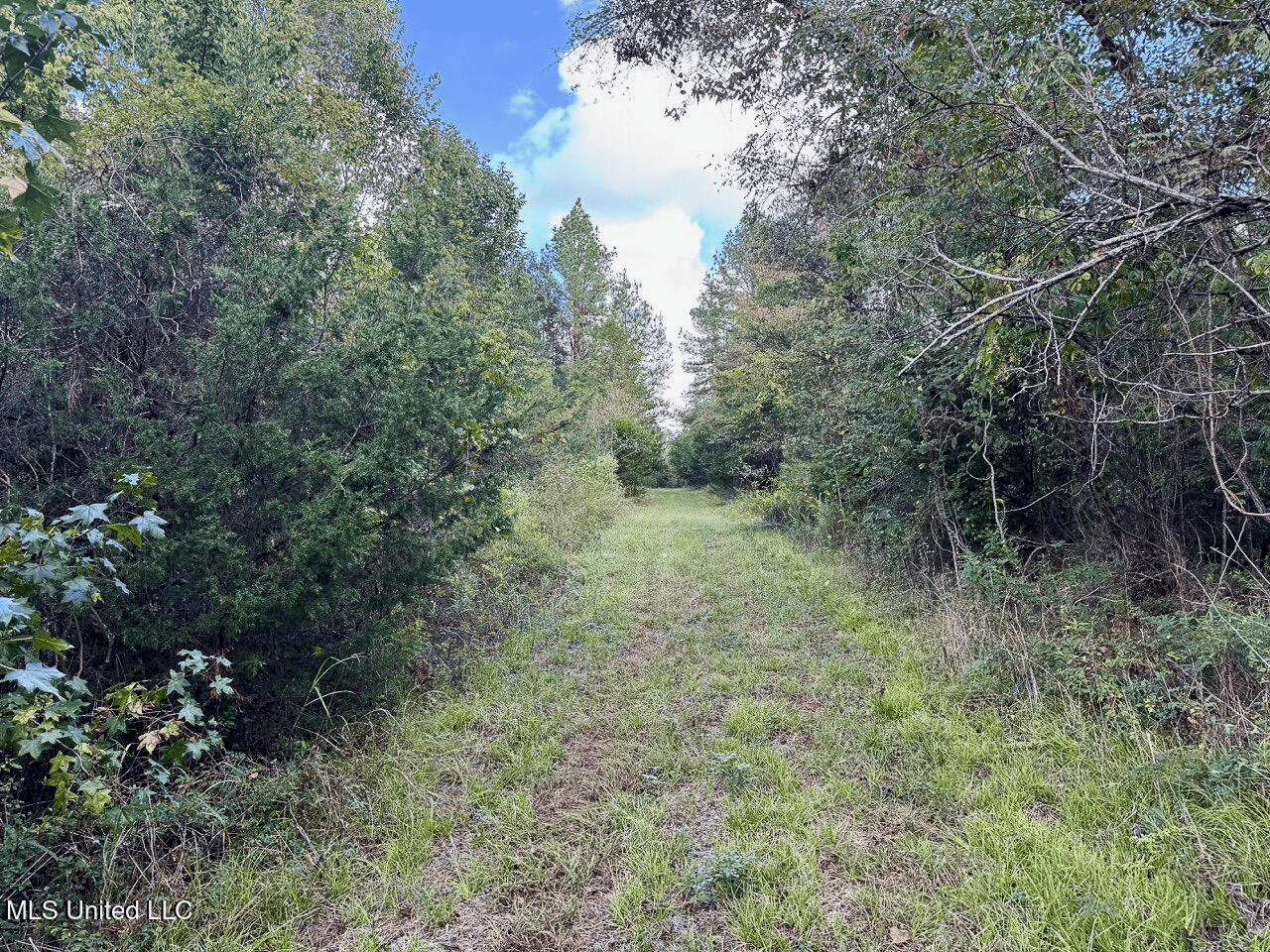 Turkey Roost Lodge in Wilkinson County, Mississippi