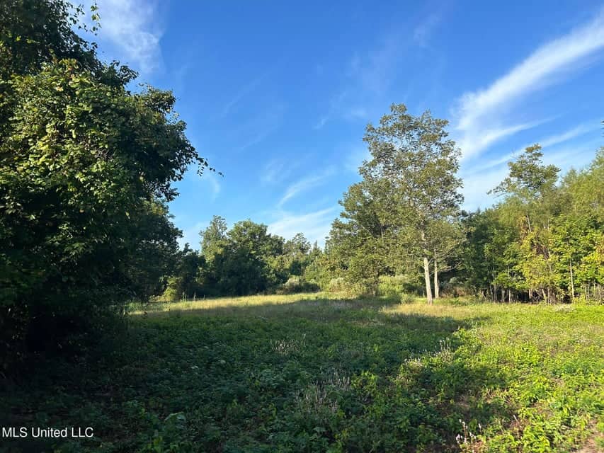 Yazoo River Hunting Tract 78.16 Acres