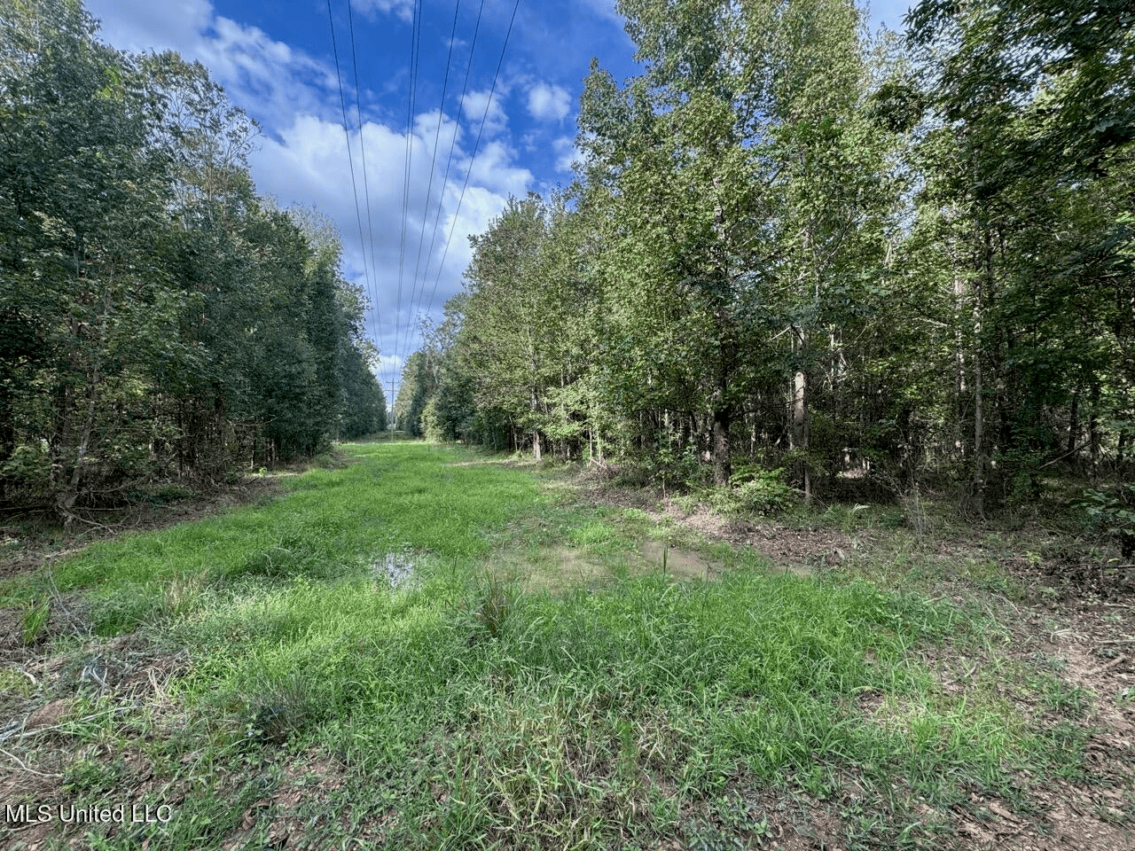 Hunting Land in Claiborne County, MS – The Sawmill 98