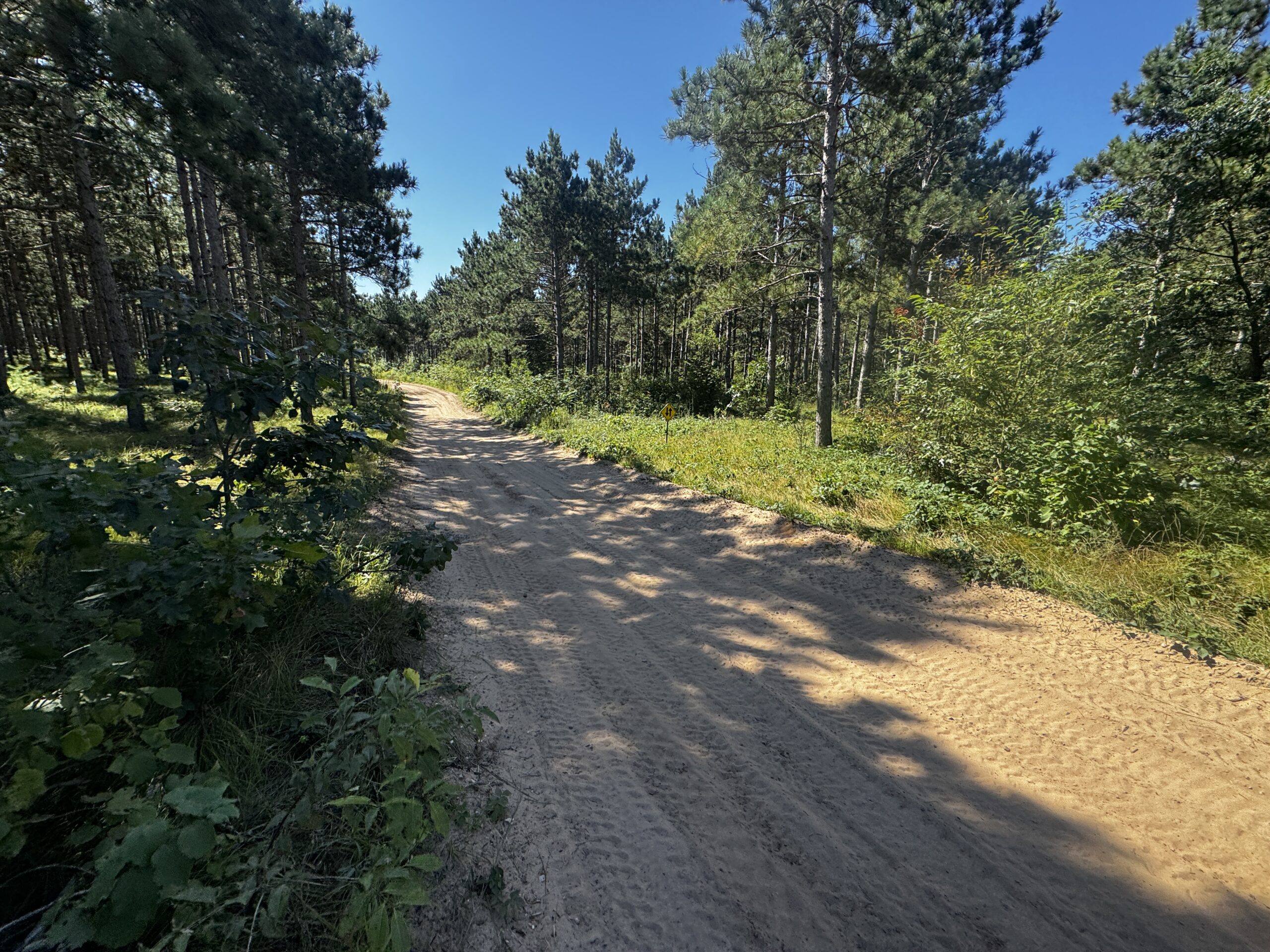 77-acre timber tract in the Town of Rome