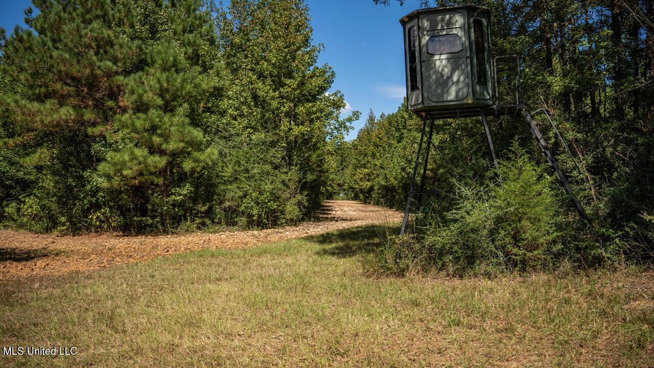 203 Acres in Smithdale MS – Turnkey Hunting Retreat