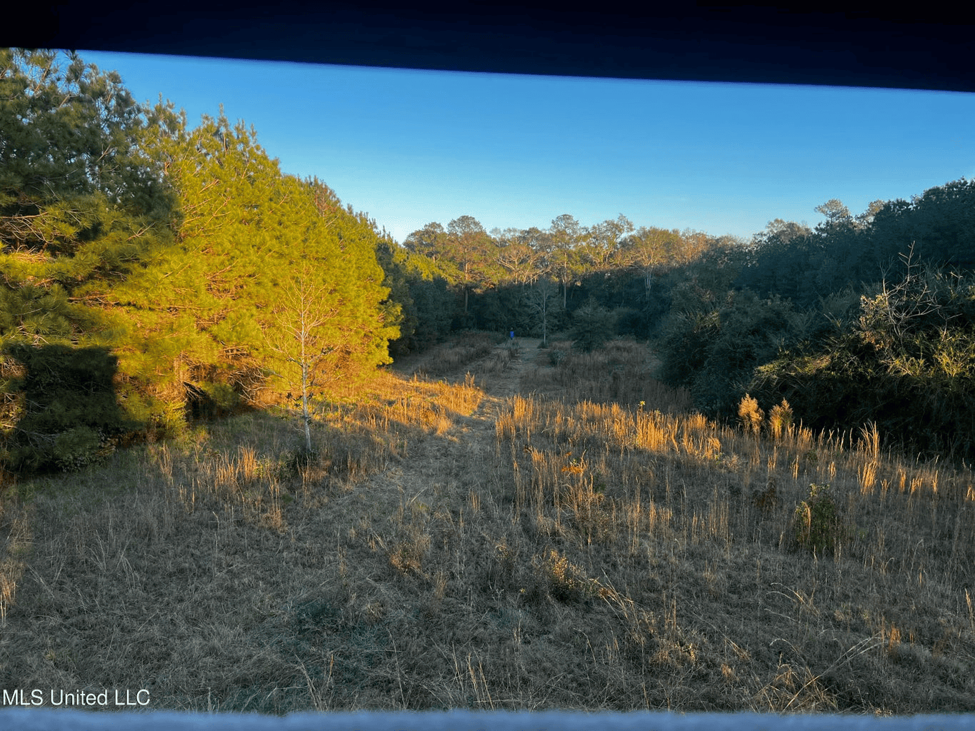 Farmhouse on Acreage with Hunting Land in Magnolia MS