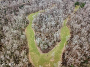 Southside Land Share for Sale in Jefferson County, MS