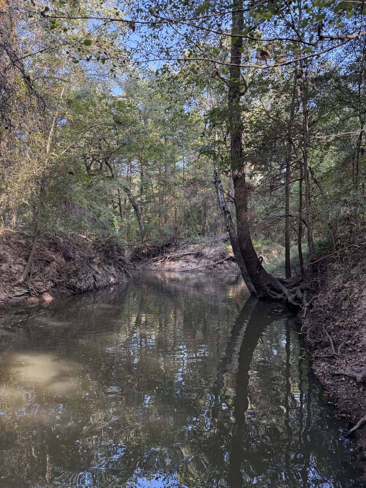 East Texas Hunting Property with Year-Round Creek in Fruitvale