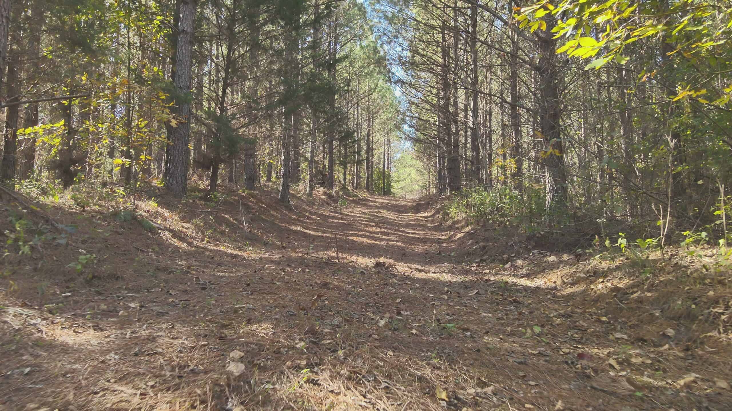 79.49 Acres Hunting and Timberland For Sale in Linden, TN