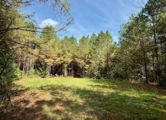 Mississippi Land For Sale With A Creek