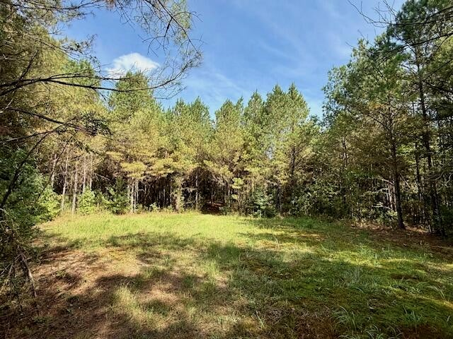 Mississippi Land For Sale With A Creek