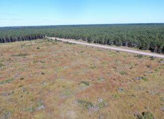 40-acre parcel in the Town of Rome, Adams County