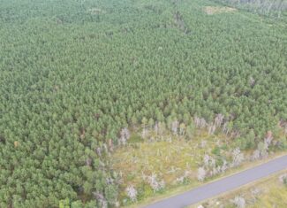 40-acre timber tract in Adams County