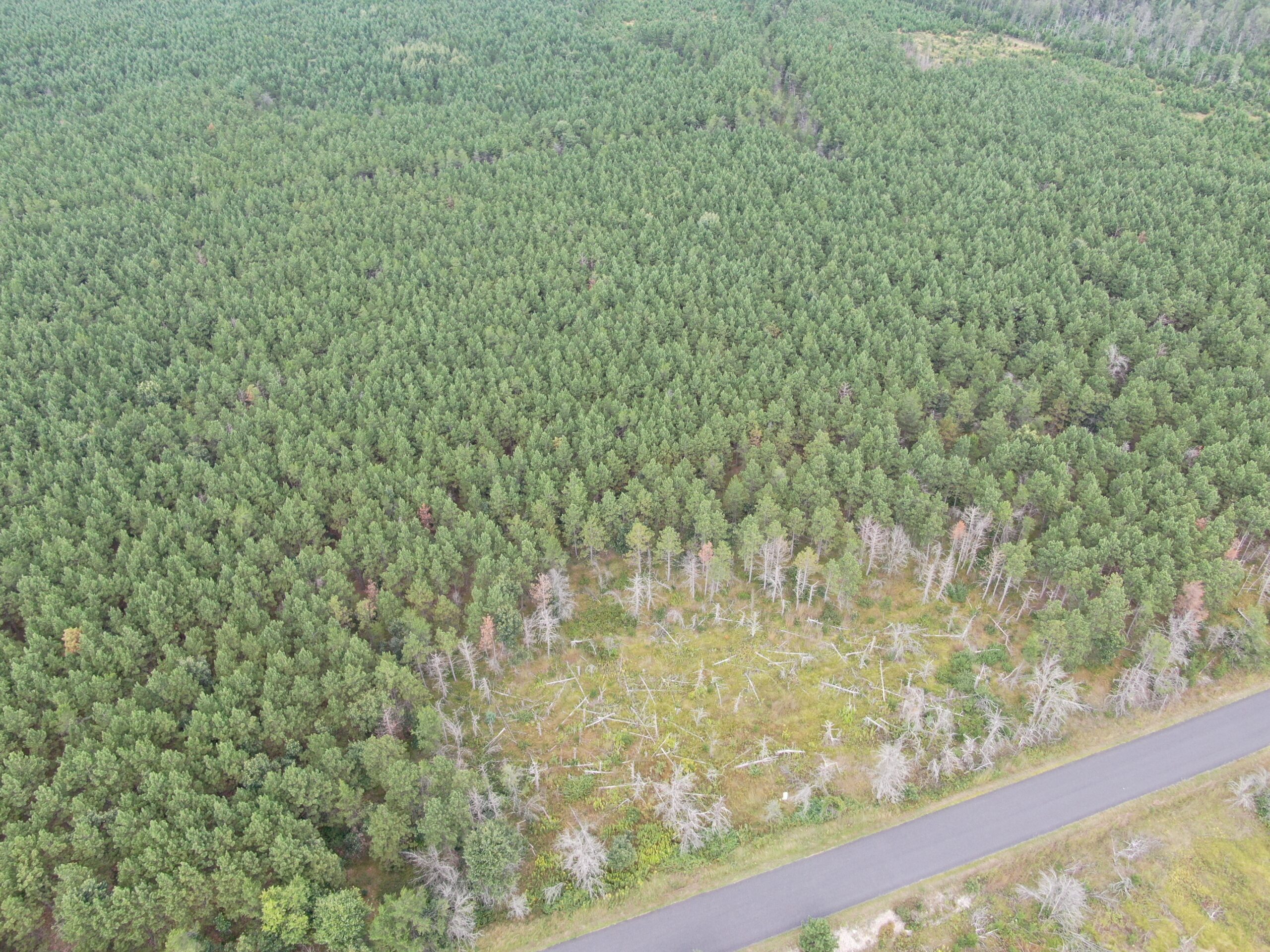 40-acre timber tract in Adams County