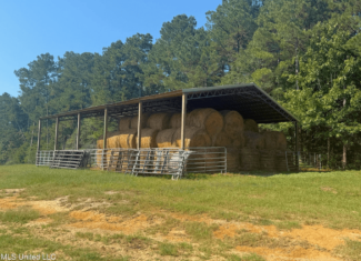 Rolling Hills Pastureland and Wooded land for sale