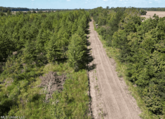 Tensas Parish Land Near Lake St. John – 80 Acres
