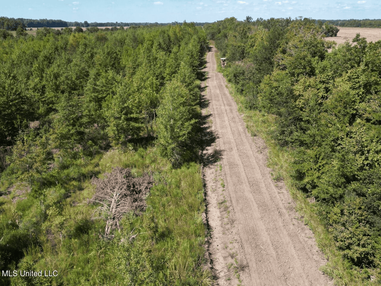 Tensas Parish Land Near Lake St. John – 80 Acres