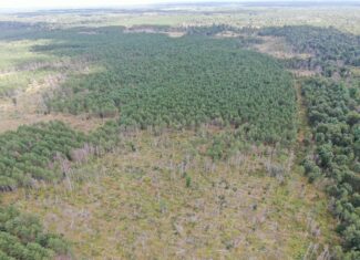 80-acre timber tract in Adams County
