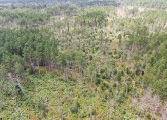 40-acre corner parcel in the Town of Monroe