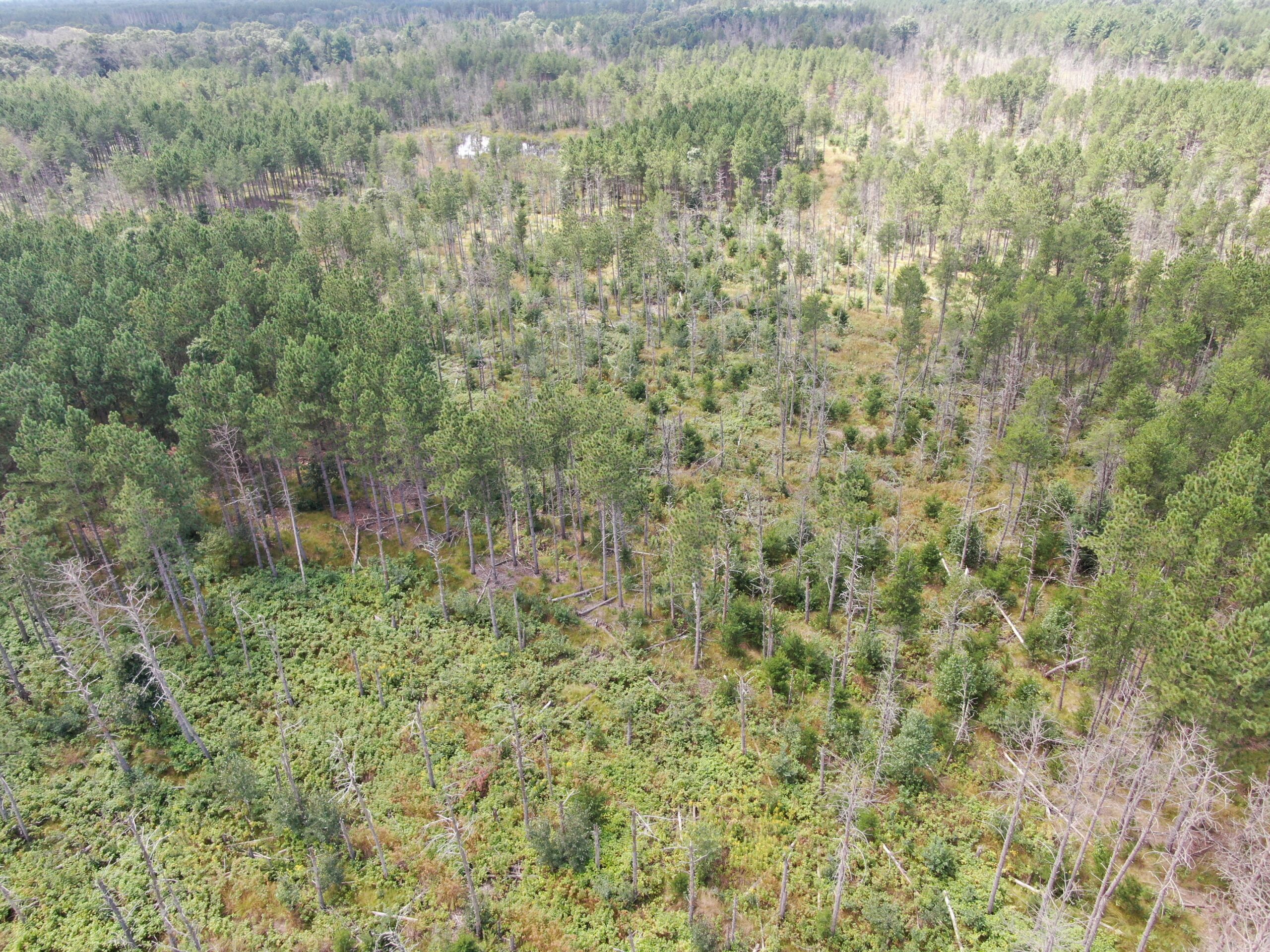 40-acre corner parcel in the Town of Monroe