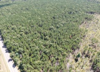 40-acre corner parcel in the Town of Big Flats, Adams County