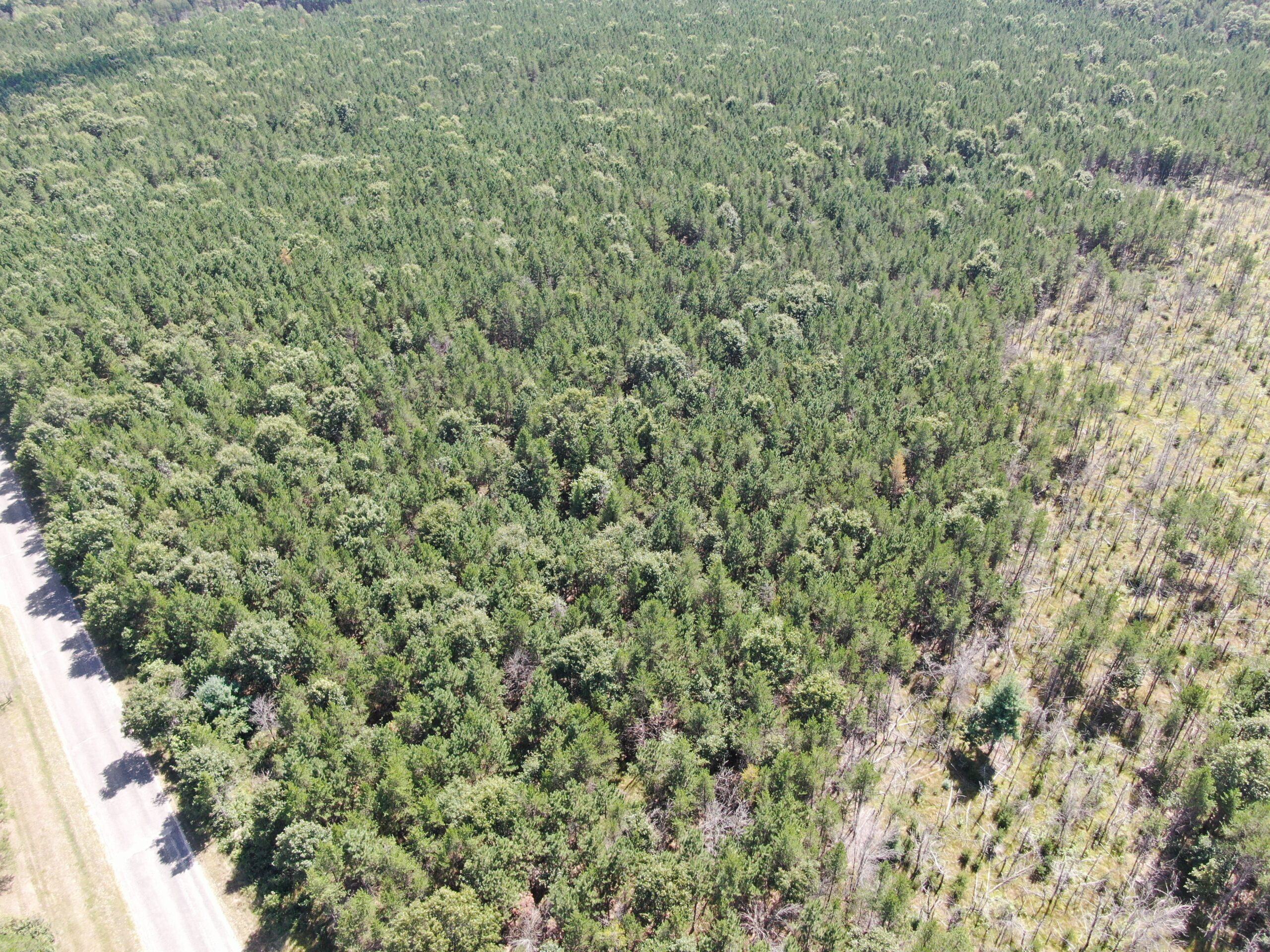 40-acre corner parcel in the Town of Big Flats, Adams County