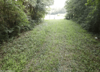 48 Acres for Sale in Jones County, MS Ellisvillle, MS