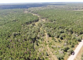 40-acre timbered tract in the Town of Big Flats
