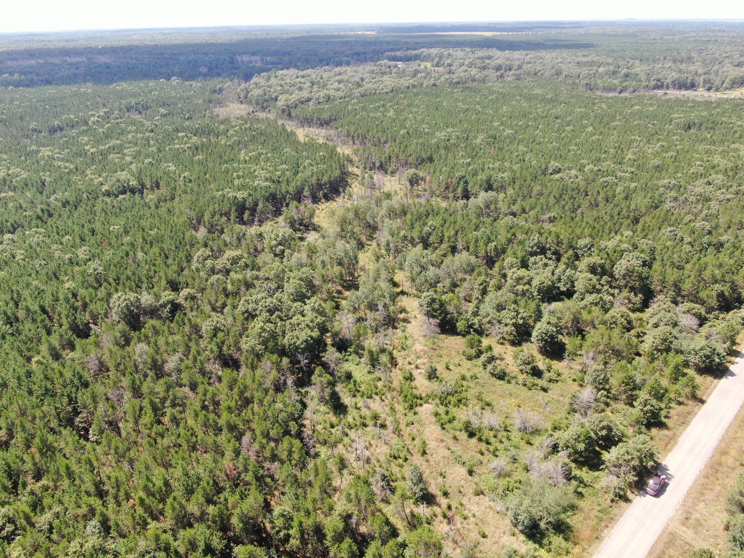 40-acre timbered tract in the Town of Big Flats