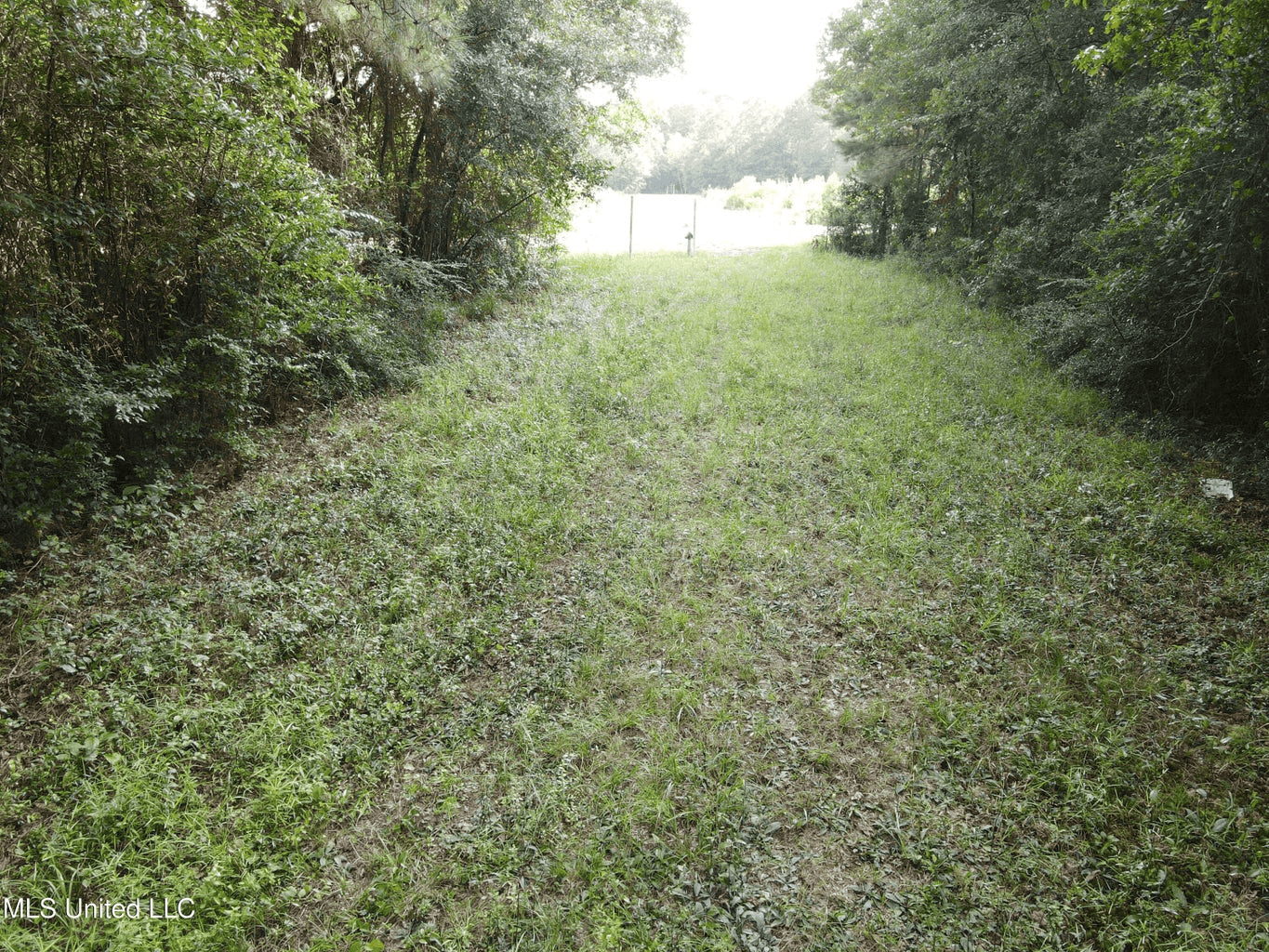 48 Acres for Sale in Jones County, MS Ellisvillle, MS