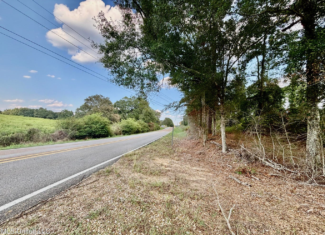 80 Acres in Walthall County