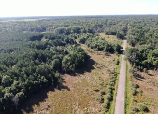 80-acre timber tract in Adams County