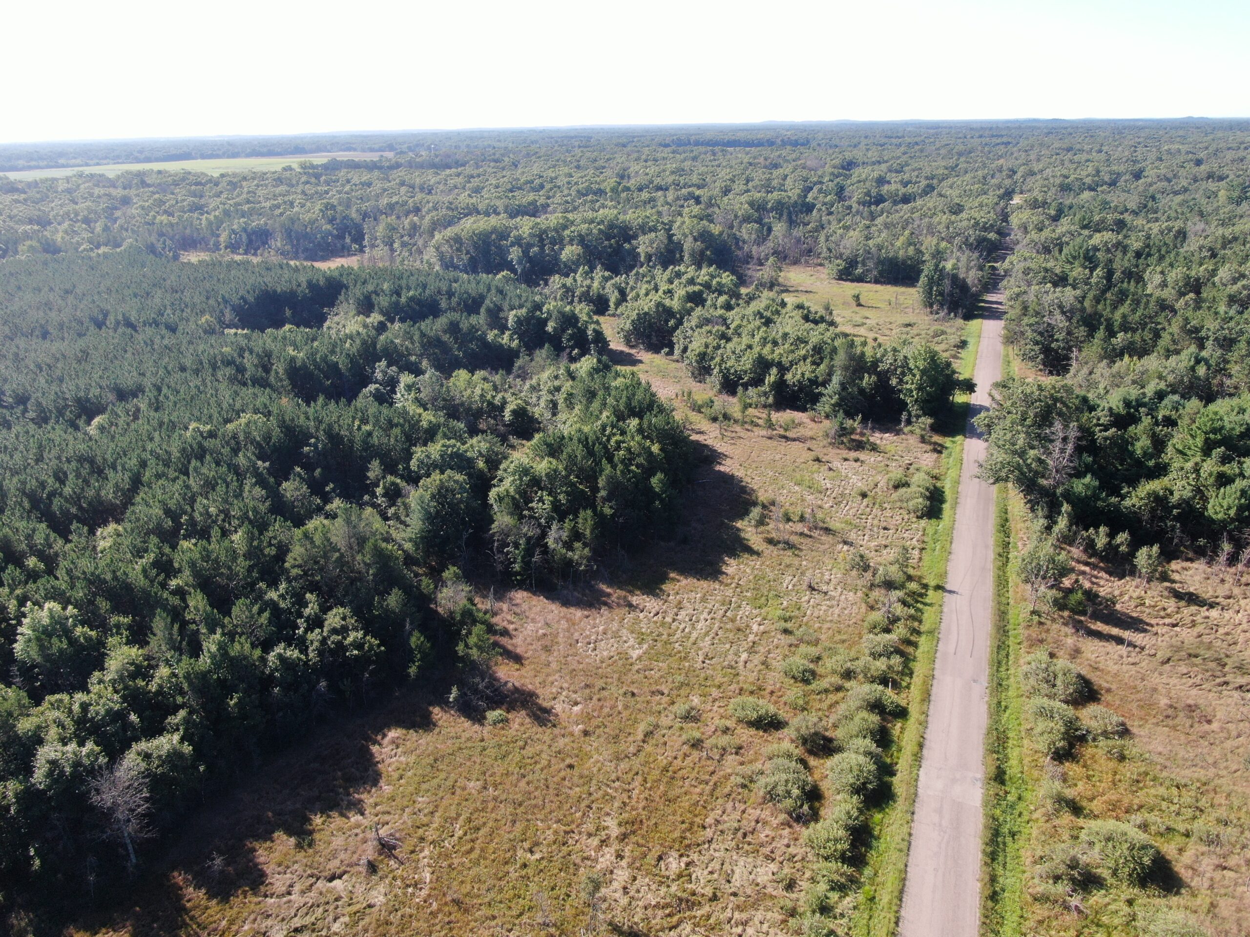 80-acre timber tract in Adams County