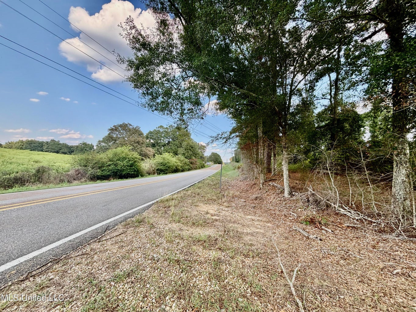 80 Acres in Walthall County