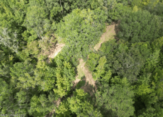 Hunting Land in Claiborne County, MS – The Sawmill 98