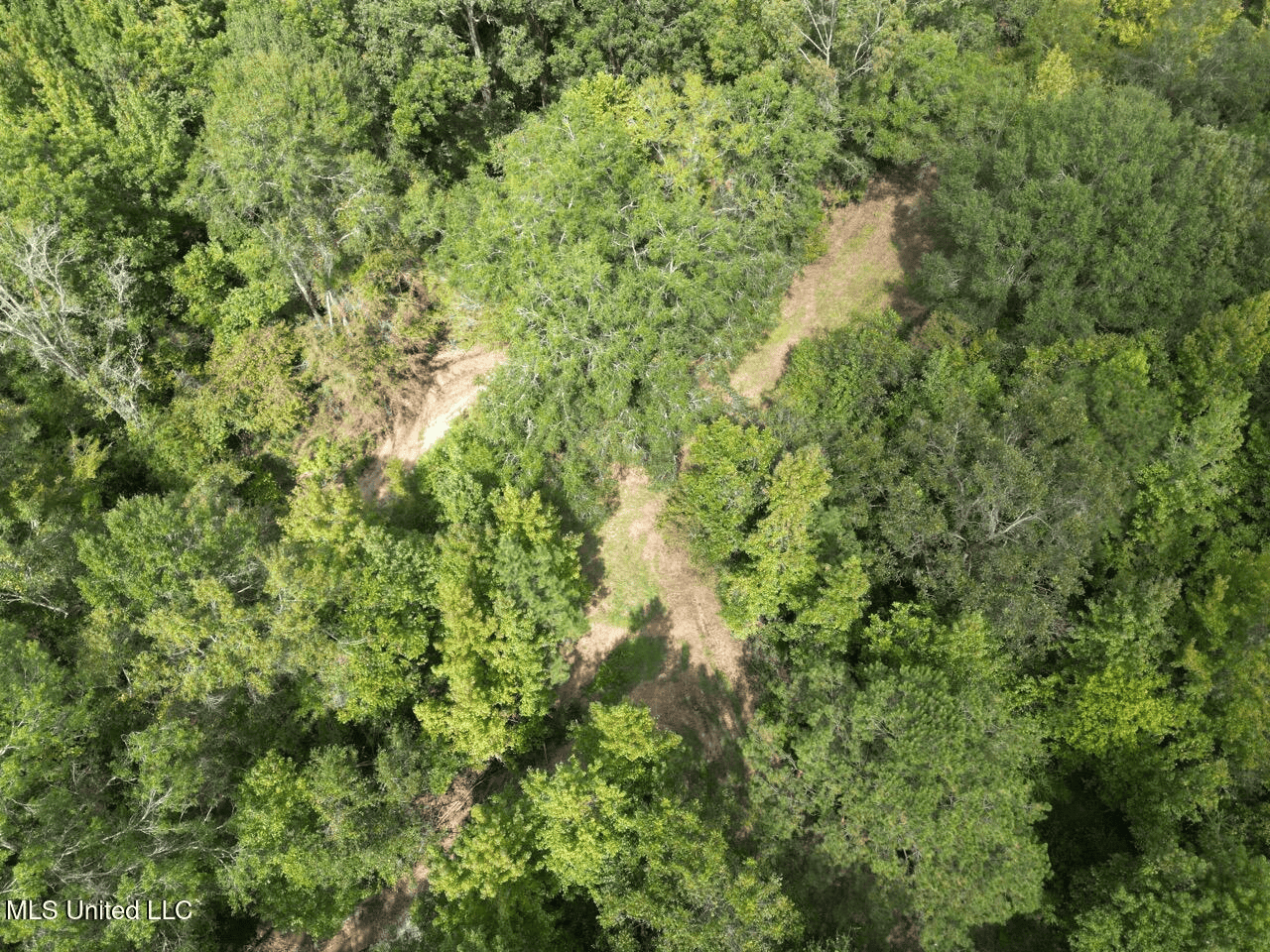 Hunting Land in Claiborne County, MS – The Sawmill 98