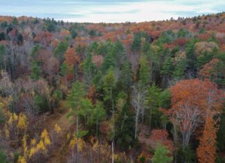 10 Acre Acreage on Quiet Dead End Road