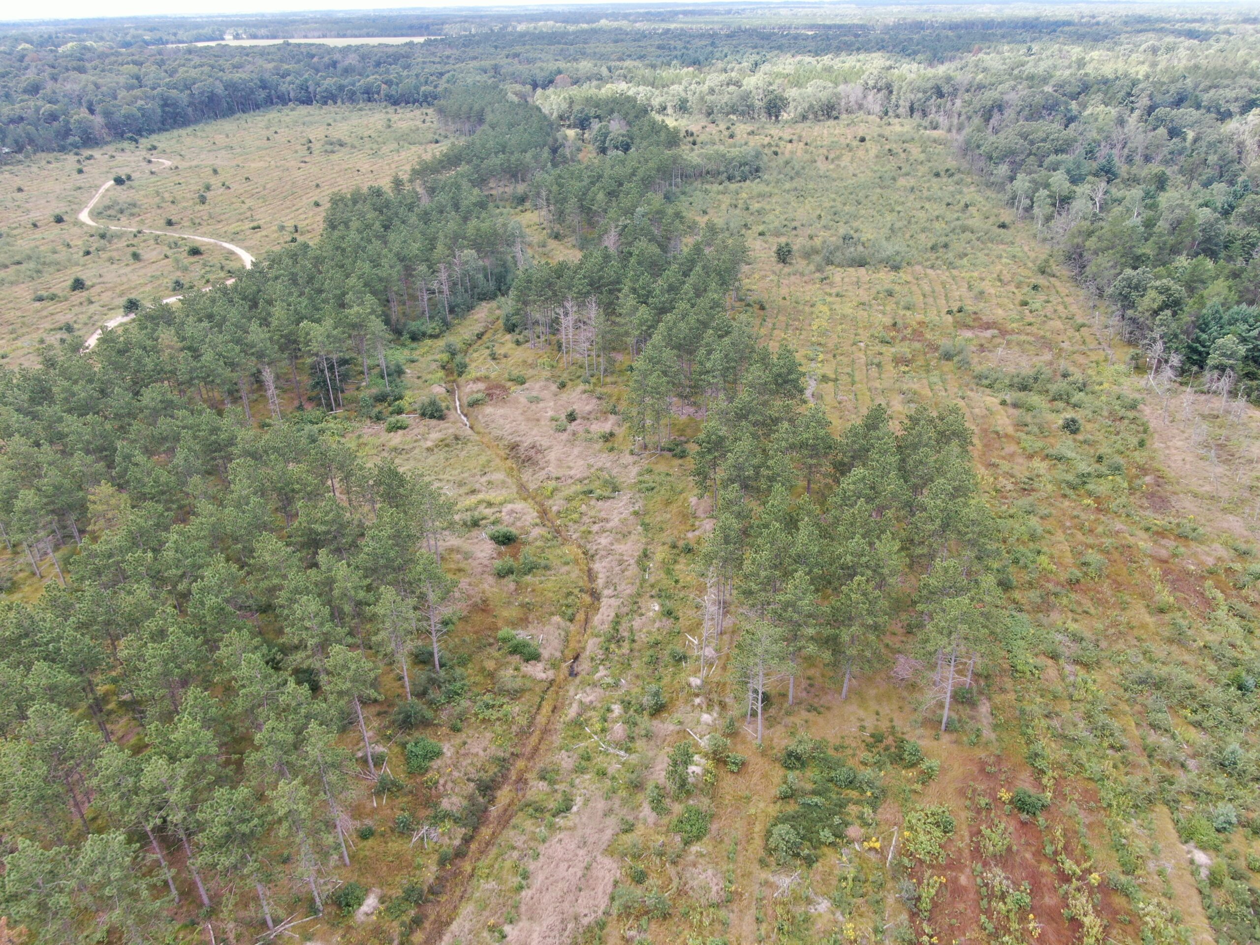 80-acre parcel in the Town of Big Flats