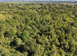 Yazoo River Hunting Tract 78.16 Acres