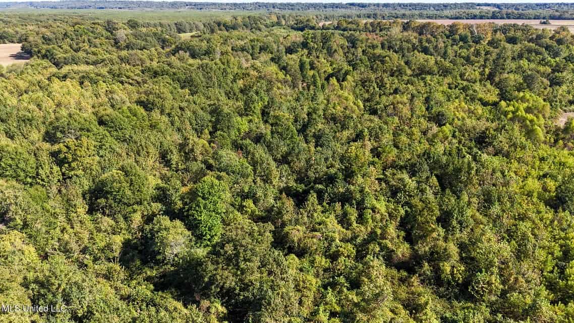 Yazoo River Hunting Tract 78.16 Acres