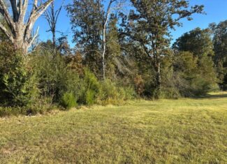 28 Acres for Sale South Jackson, Hinds County, MS