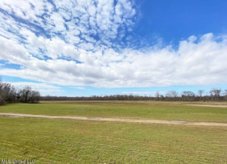 Southside Land Share for Sale in Jefferson County, MS