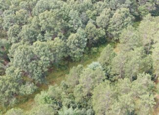 Escape to 80 acres of heavily timbered ground in Adams County