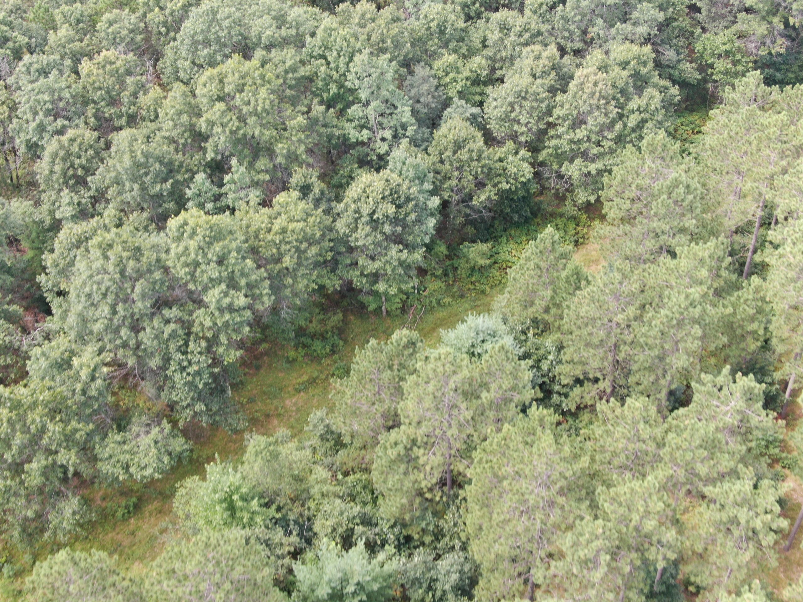 Escape to 80 acres of heavily timbered ground in Adams County