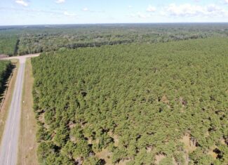 37.77-acre wooded parcel in the Town of Rome